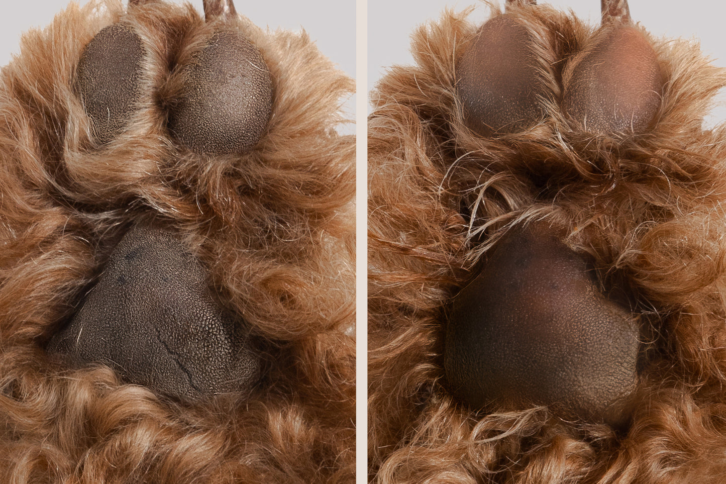 Masco Beauty "Dog Obsession" atstatomasis pėdučių kremas, 75ml