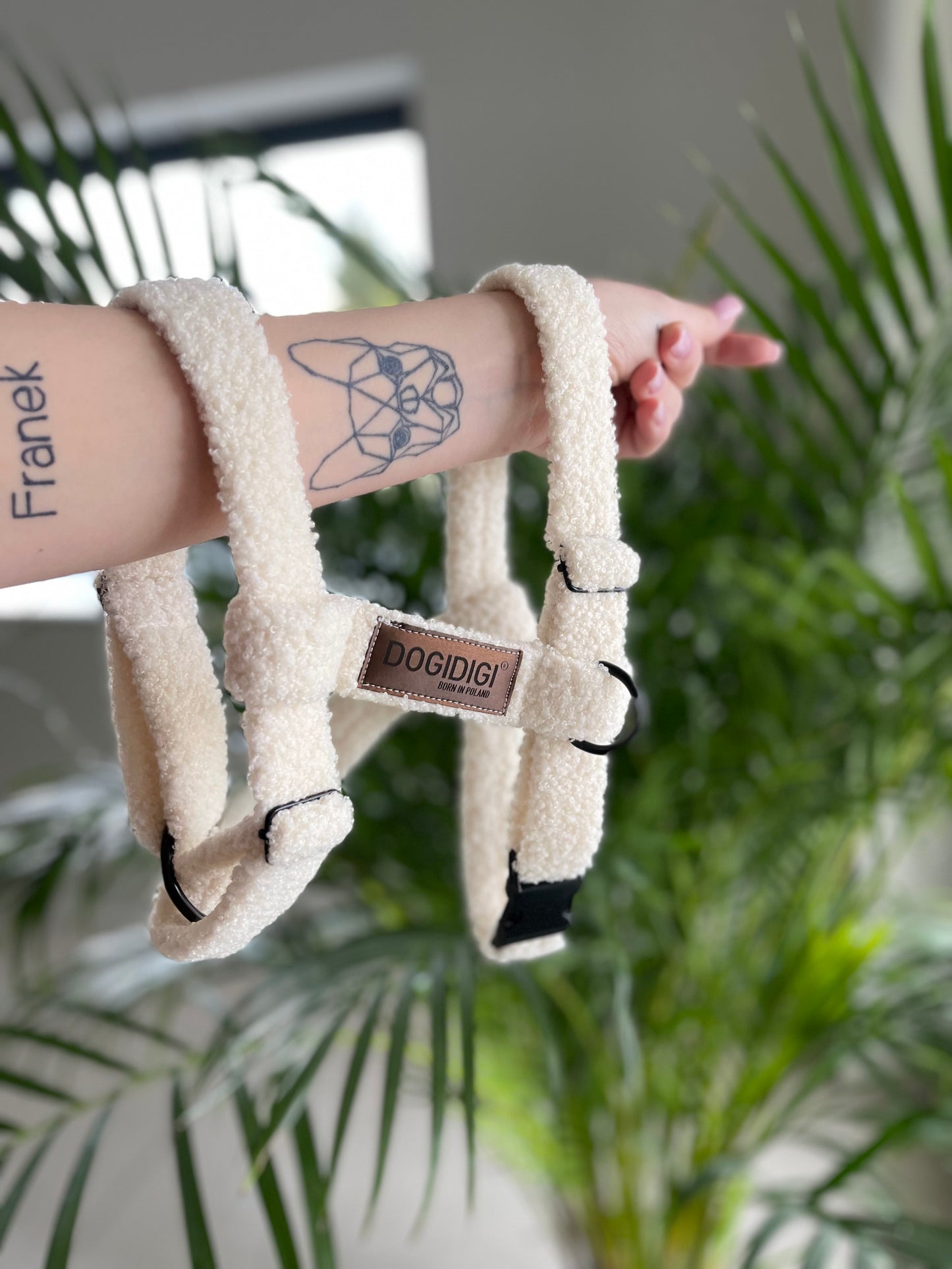 Dogi Digi harness for dogs, GUARD FUR