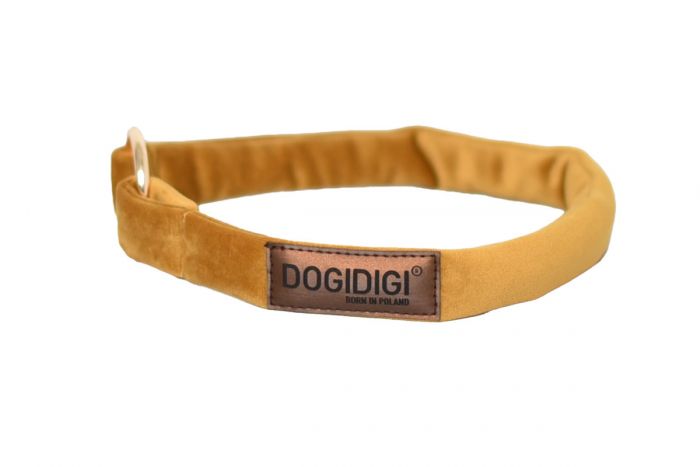 Dogi Digi collar for dogs