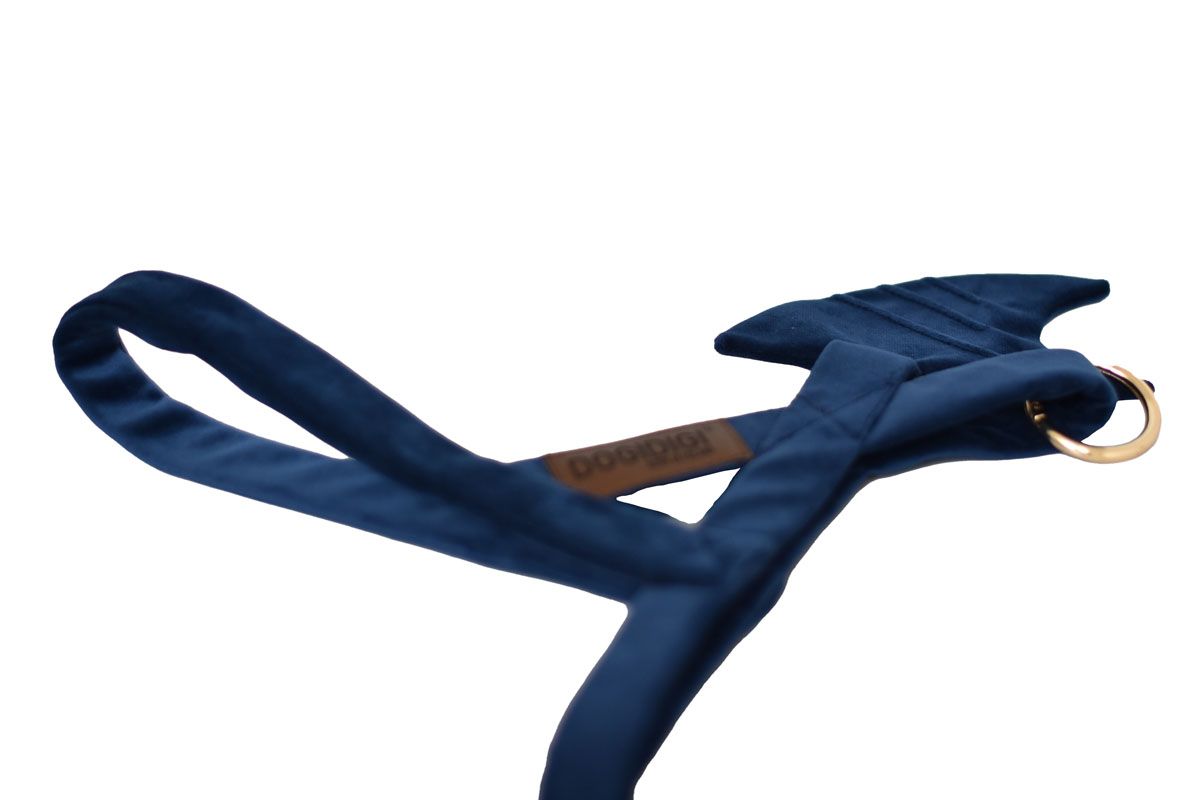 Dogi Digi dog harness, SHARK