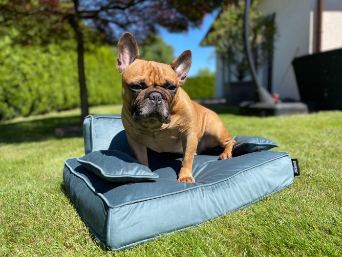 Dogi Digi open bed for dogs, WERSAL