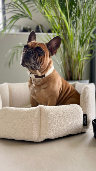 Dogi Digi collar for dogs, FUR