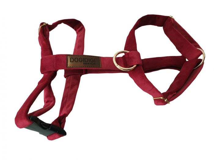 Dogi Digi dog harness, GUARD