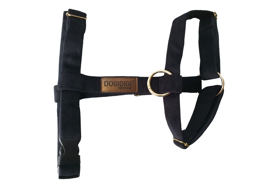 Dogi Digi dog harness, GUARD