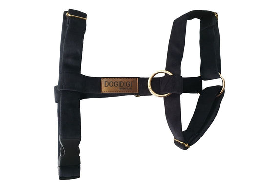 Dogi Digi dog harness, GUARD