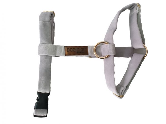 Dogi Digi dog harness, GUARD