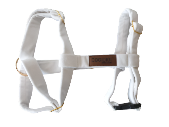 Dogi Digi dog harness, GUARD