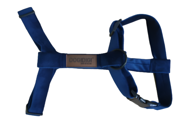 Dogi Digi dog harness, GUARD