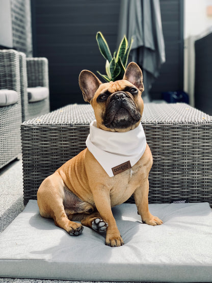 Dogi Digi bandana for dogs