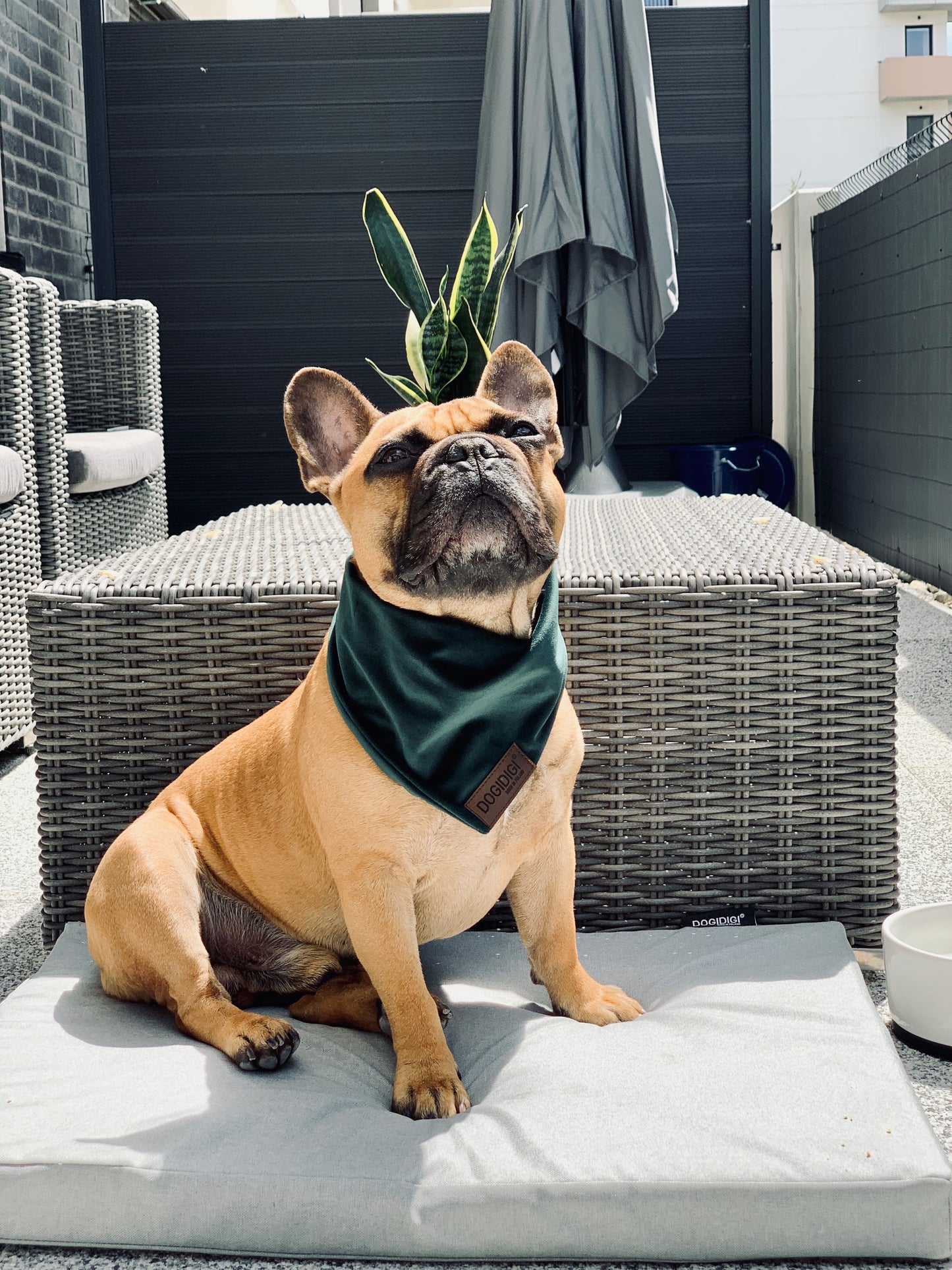 Dogi Digi bandana for dogs
