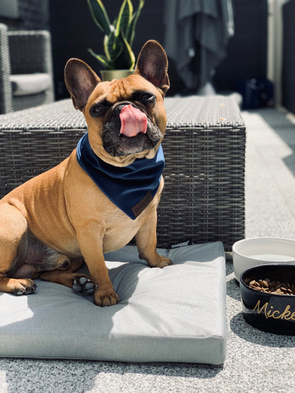 Dogi Digi bandana for dogs