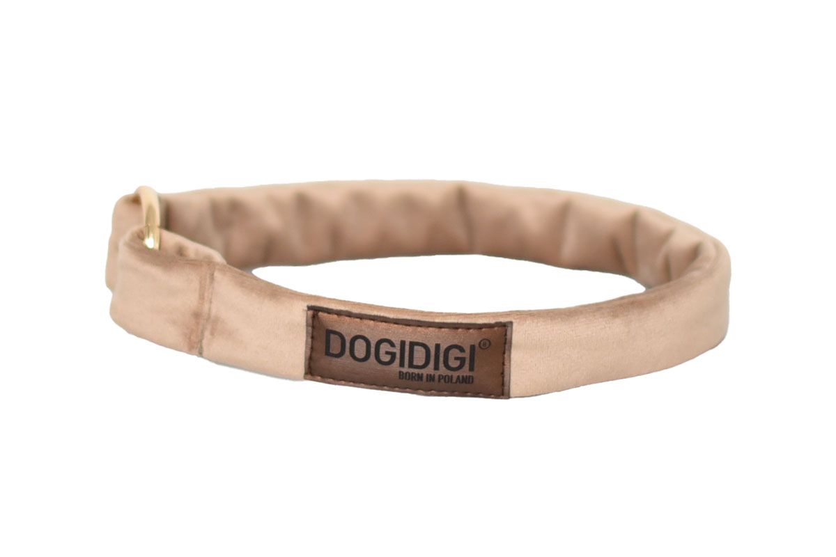 Dogi Digi collar for dogs