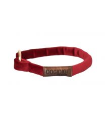 Dogi Digi collar for dogs