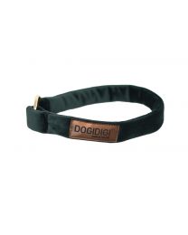 Dogi Digi collar for dogs