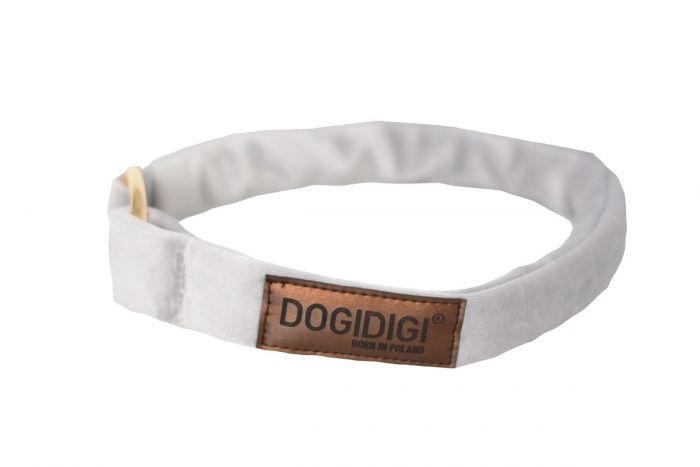 Dogi Digi collar for dogs