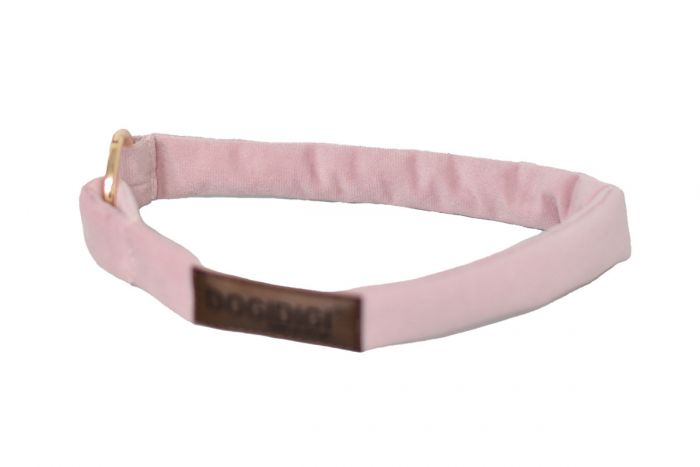 Dogi Digi collar for dogs