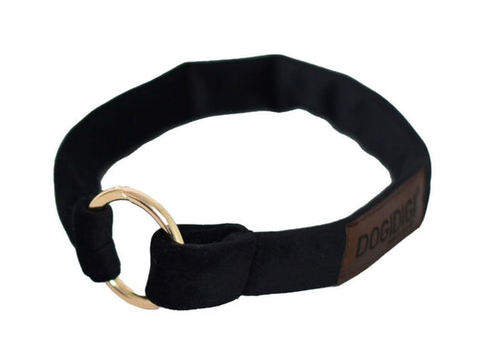 Dogi Digi collar for dogs
