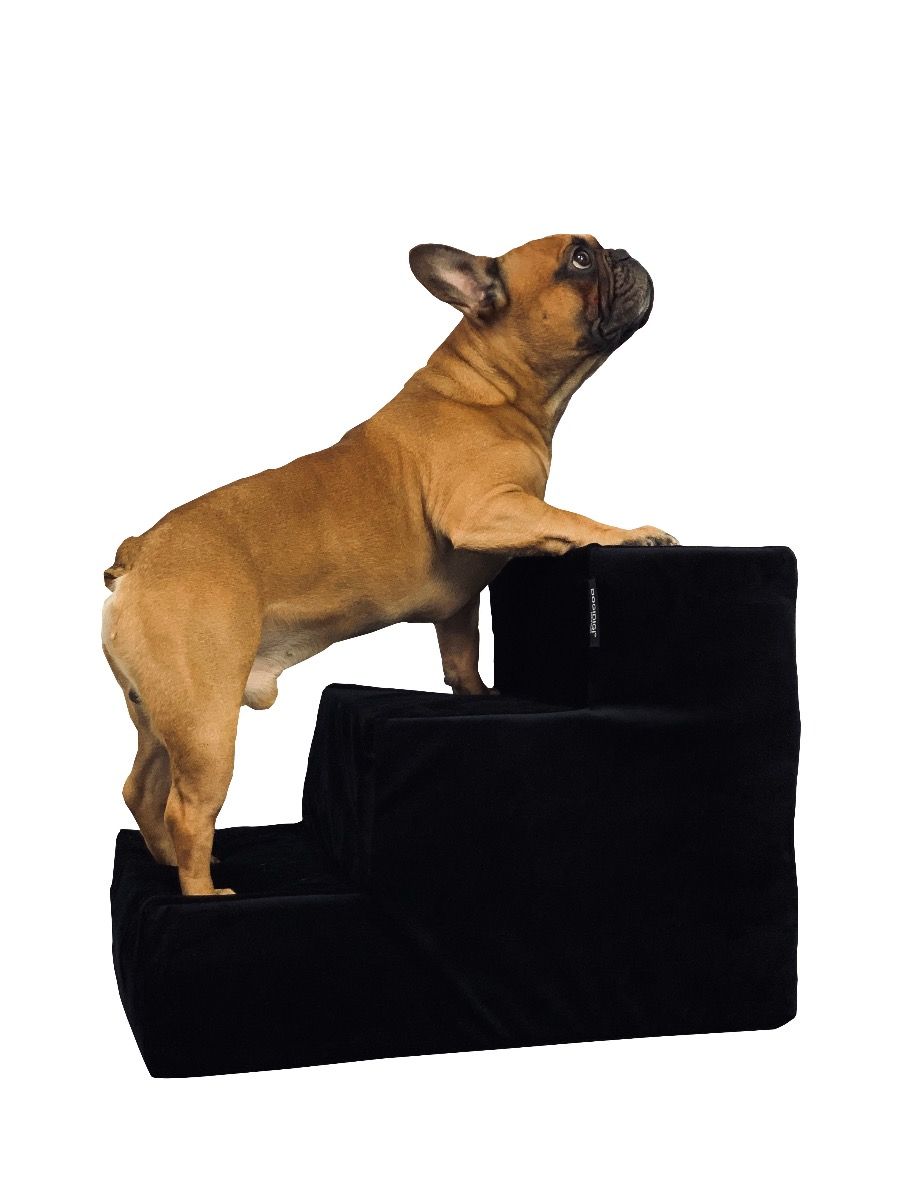 Dogi Digi stairs for dogs