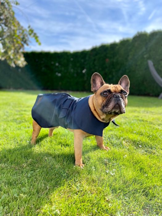 Dogi Digi raincoat for dogs ENGLISHDOG