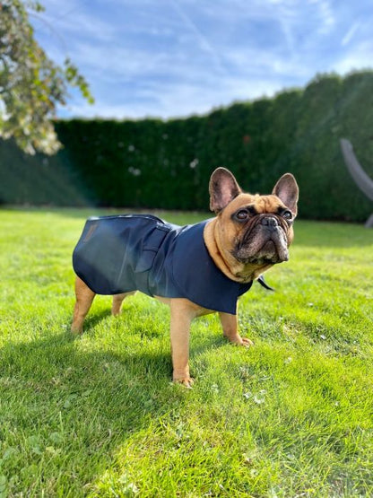 Dogi Digi raincoat for dogs ENGLISHDOG
