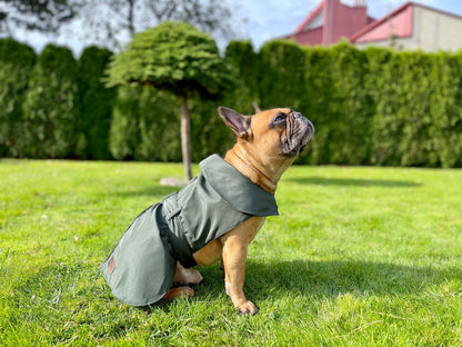 Dogi Digi raincoat for dogs ENGLISHDOG