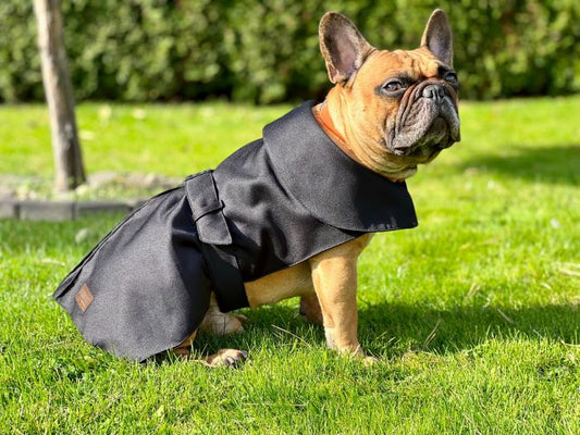 Dogi Digi raincoat for dogs ENGLISHDOG