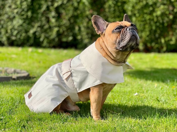 Dogi Digi raincoat for dogs ENGLISHDOG