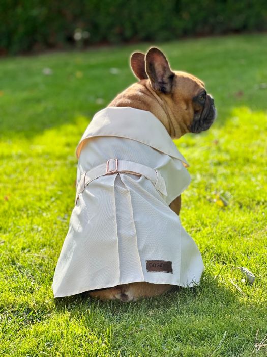 Dogi Digi raincoat for dogs ENGLISHDOG