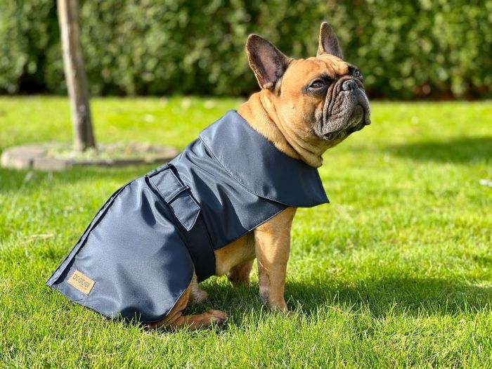 Dogi Digi raincoat for dogs ENGLISHDOG