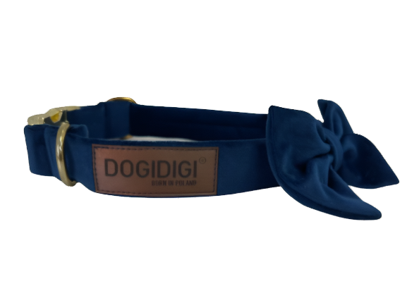 Dogi Digi antkaklis su kaspinėliu šunims
