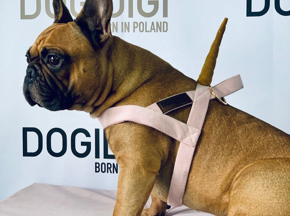 Dogi Digi dog harness, UNICORN