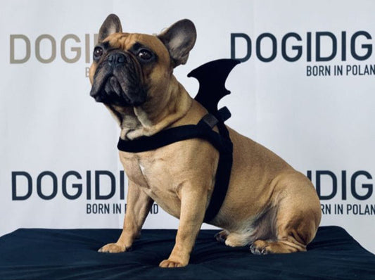 Dogi Dogi dog harness, BATMAN